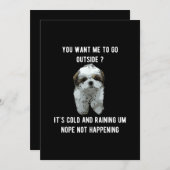 シーズー(犬)図 |シーズー(犬)Tzu外に出て欲しい サンキューカード (正面/裏面)