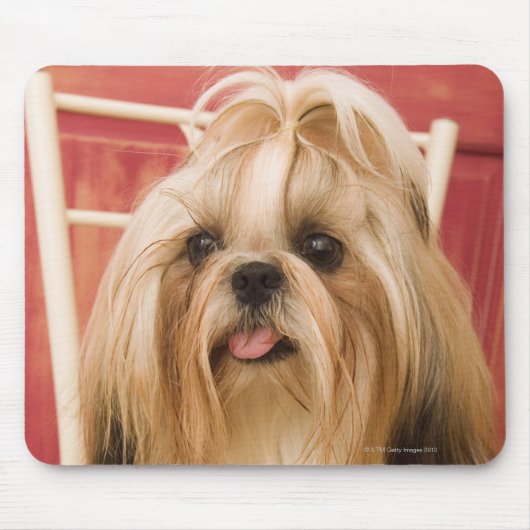 シーズー(犬)犬 マウスパッド (正面)