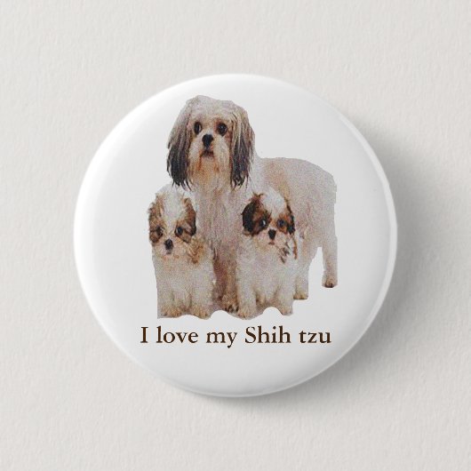 シーズー（犬） 缶バッジ (正面)