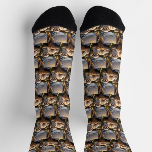 シーズー（犬）Tzuとクリスマスライトホリデイ ソックス (上部)