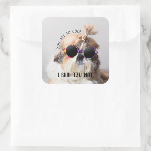 シーズー(犬)Tzuないおもしろいかわいい愛犬家カスタムフォト文字 スクエアシール (バッグ)