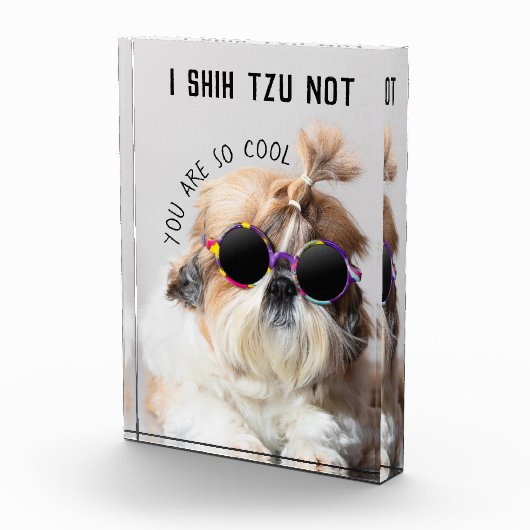 シーズー（犬）Tzuないおもしろいかわいい愛犬家カスタムフォト文字 フォトブロック (右)