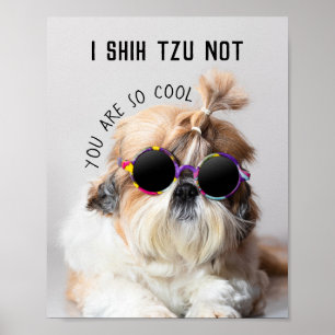 シーズー（犬）Tzuないおもしろいかわいい愛犬家カスタムフォト文字 ポスター
