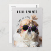シーズー(犬)Tzuないおもしろいかわいい愛犬家カスタムフォト文字 ポストカード (正面/裏面)