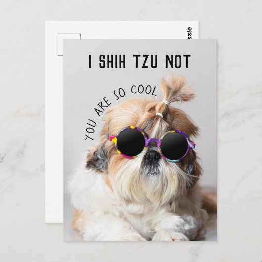 シーズー(犬)Tzuないおもしろいかわいい愛犬家カスタムフォト文字 ポストカード (正面/裏面)