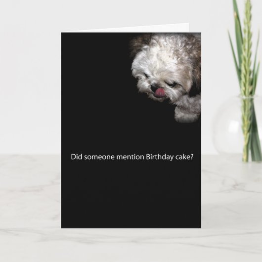 シーズー(犬)Tzuのバースデー・カード カード (正面)