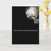 シーズー(犬)Tzuのバースデー・カード カード (黄色い花)