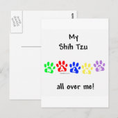 シーズー(犬)Tzuの歩き回り ポストカード (正面/裏面)