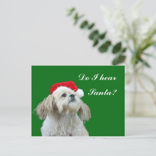 シーズー(犬) Tzuはサンタに耳をそば立てます シーズンポストカード (スタンド正面)
