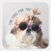 シーズー（犬）Tzuカッコいいもサングラス写真 スクエアシール (正面)