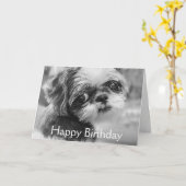 シーズー(犬)Tzuガール白黒グリーティングカード カード (黄色い花)