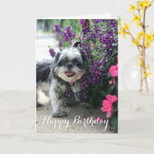 シーズー(犬)Tzuガール誕生日グリーティングカード カード (黄色い花)