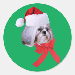 シーズー(犬)Tzuクリスマスステッカー ラウンドシール