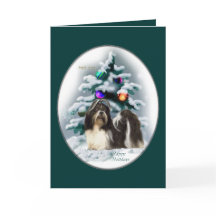 シーズー（犬）Tzuクリスマスプレゼント