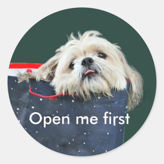 シーズー(犬)Tzuクリスマスプレゼント ラウンドシール (正面)