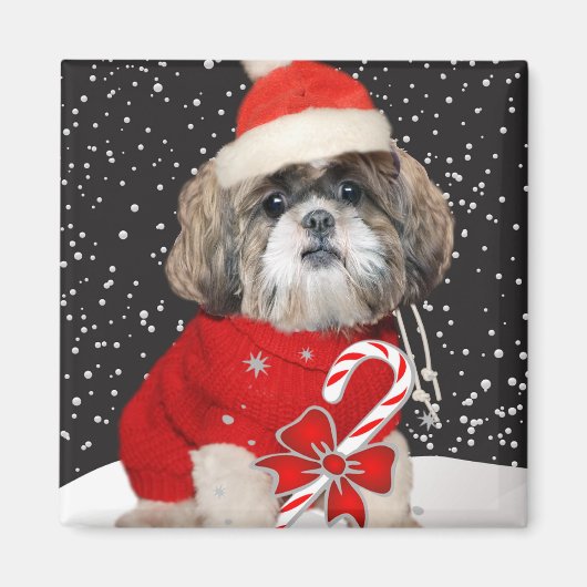 シーズー(犬)Tzuクリスマスマグネット マグネット (正面)