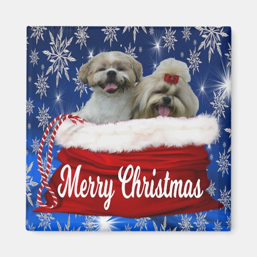 シーズー（犬）tzuクリスマスマグネット マグネット (正面)
