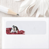 シーズー（犬）Tzuクリスマス ラベル (インサイチュ)