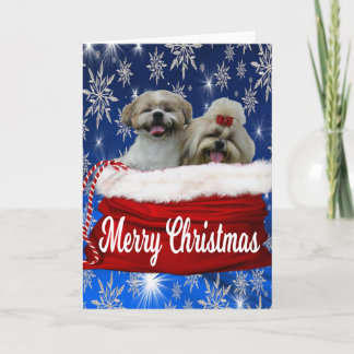 シーズー(犬)tzuグリーティングカードクリスマス シーズンカード