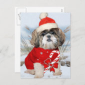 シーズー(犬)Tzuサンタポーズギフト シーズンポストカード (正面/裏面)