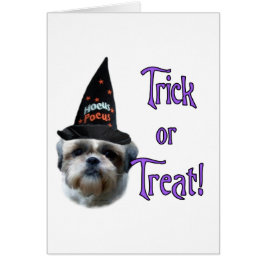 シーズー(犬)Tzuトリック