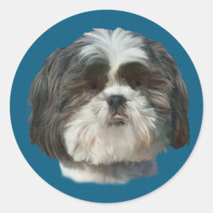シーズー(犬)TZUドッグステッカー ラウンドシール