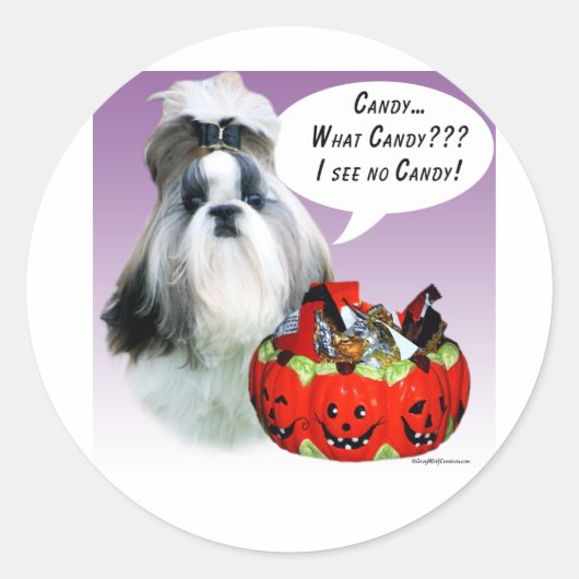シーズー（犬）Tzuハロウィンキャンディ ラウンドシール (正面)
