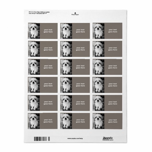 シーズー(犬)Tzuパーソナライズされた住所 シール (フルシート)