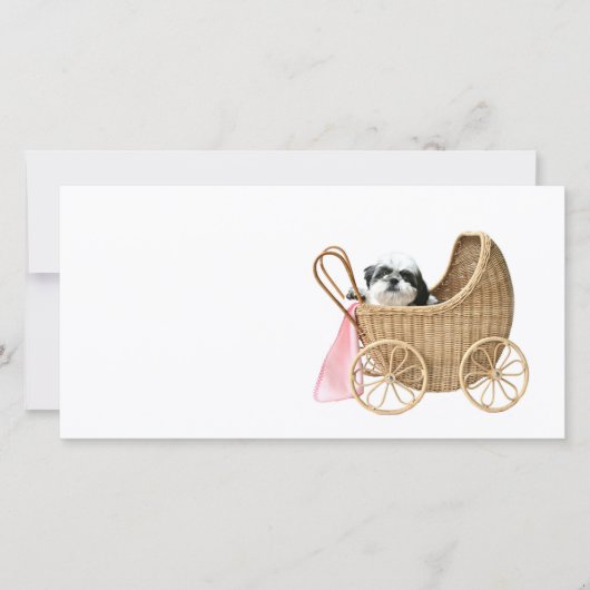 シーズー（犬）Tzuベビー乳母車 (正面)