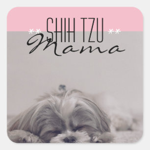 シーズー（犬）Tzuママ犬ママ用ステッカー スクエアシール