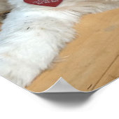 シーズー（犬）Tzuミックス名Liz Poster ポスター (角)