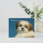 シーズー(犬)Tzuワン考えピー"あなたの" PostCard ポストカード (スタンド正面)