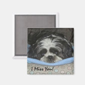 シーズー(犬)Tzu子犬の磁石 – 現状のまま注文またはパーソナライズ マグネット (正面/裏面)