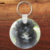 シーズー(犬)Tzu子犬キーチェーン キーホルダー (正面)