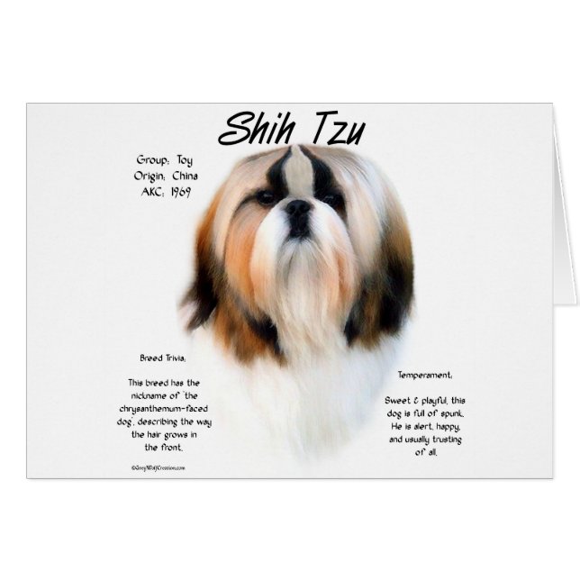 シーズー（犬）TZU履歴デザイン (正面横)