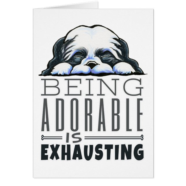 シーズー（犬）Tzu愛らしい (正面)