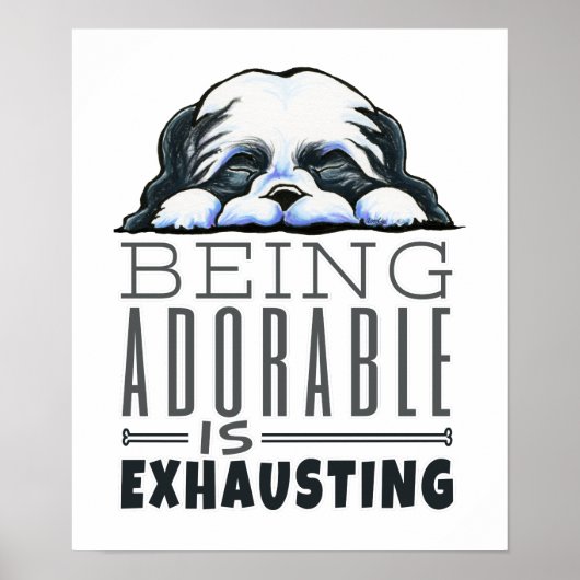 シーズー(犬)Tzu愛らしい ポスター (正面)