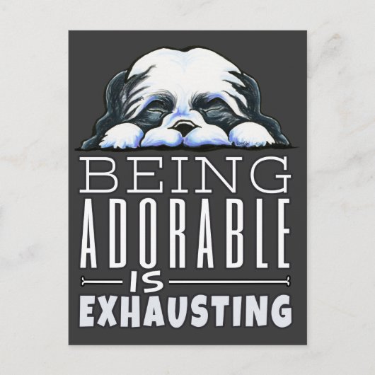 シーズー(犬)Tzu愛らしい ポストカード (正面)