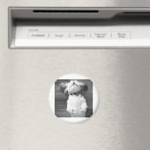 シーズー(犬)Tzu昼寝 マグネット (インサイチュ (食洗機))