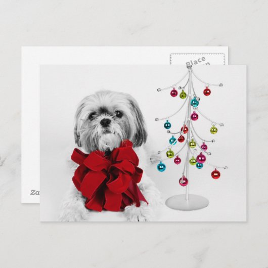 シーズー(犬)Tzu犬のおもちゃのクリスマスツリーで赤い弓 シーズンポストカード (正面/裏面)