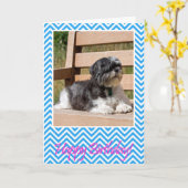 シーズー(犬)TZU犬ハッピーバースデーグリーティングカード カード (黄色い花)