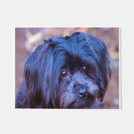 シーズー（犬）Tzu犬。 ドアマット (正面)