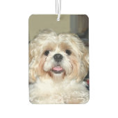 シーズー（犬）Tzu顔 カーエアーフレッシュナー (裏面)