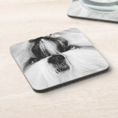 シーズー（犬） Tzu コースター (左側)