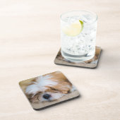 シーズー（犬） Tzu コースター (右側)