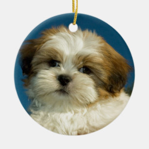 シーズー(犬) Tzu セラミックオーナメント