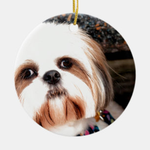 シーズー（犬） Tzu セラミックオーナメント