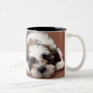 シーズー(犬) Tzu ツートーンマグカップ