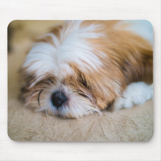 シーズー（犬） Tzu マウスパッド (正面)