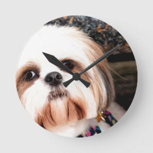 シーズー(犬) Tzu ラウンド壁時計